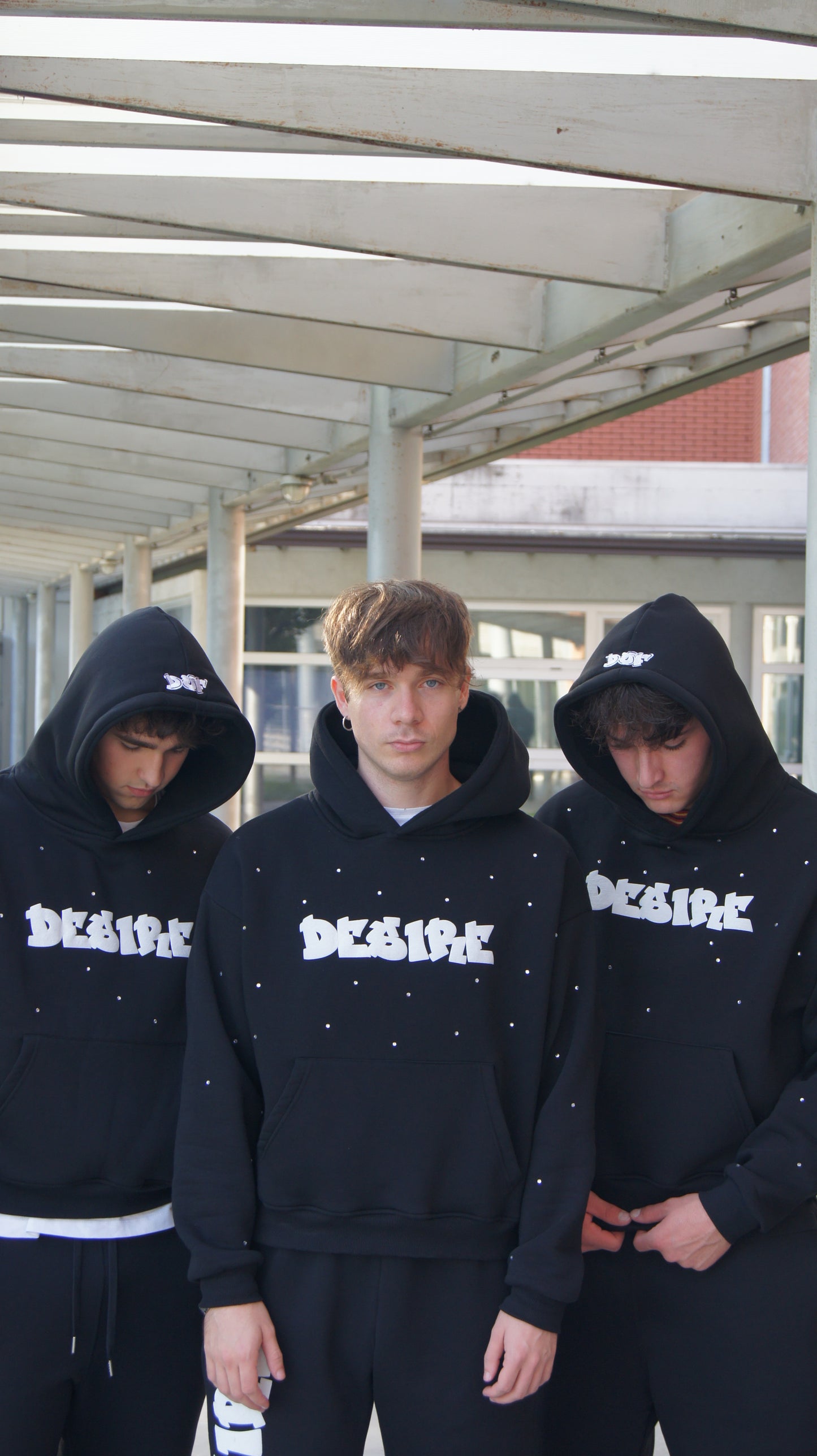 desire svarovski hoodie