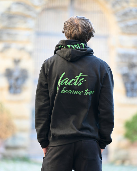 Facts became true hoodie